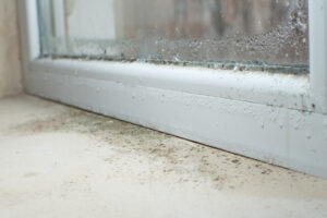 Spring Mold Prevention in Beaverton: How to Stop Moisture Before It Grows